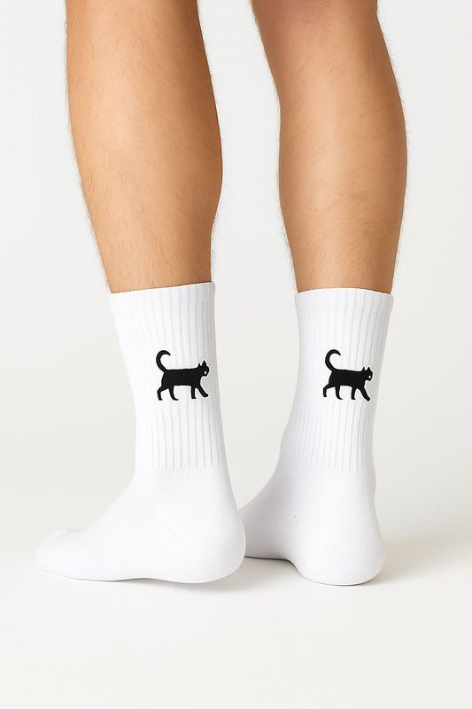 Two socks white cat